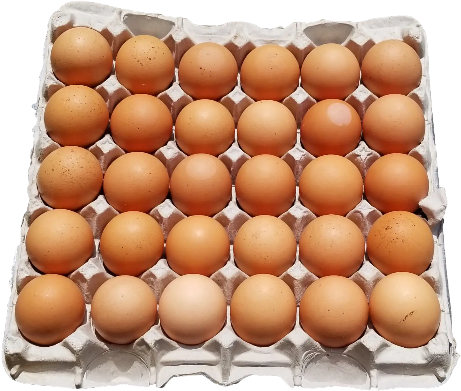Crate of fresh brown eggs