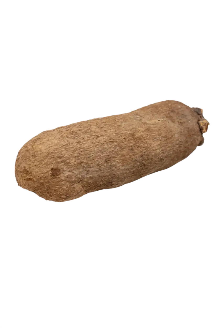 White yam tubers displayed in a basket